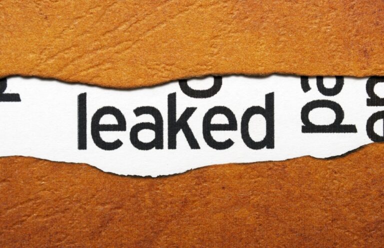 What the Google Search Document Leak Means for Your Business