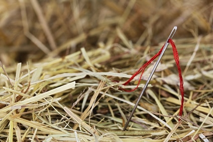 Needle in a Haystack