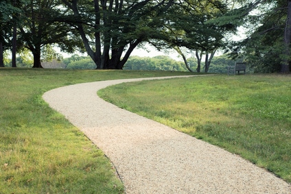 Mark out a clear path for your visitors so they can reach where they need to be with ease, allowing you to achieve your goals.